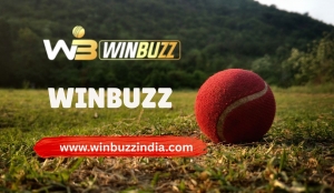 Winbuzz Sign Up: Redefining Entertainment with Smart Features