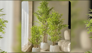 Top 10 Indoor Plants That Purify Air and Beautify Your Living Space Naturally