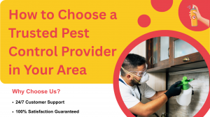 How to Choose a Trusted Pest Control Provider in Your Area