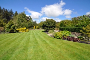 Expert Block Paving Services in Farnborough for Durable and Stylish Driveways