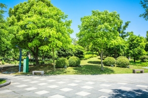 Why Are Green Spaces Important?