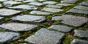 Transform Your Garden with a Stone Yard in Dallas