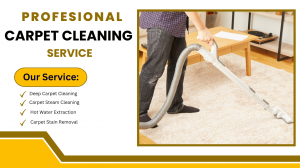 Professional Carpet Cleaning & Odour Removal – Restore Freshness Fast in South Perth
