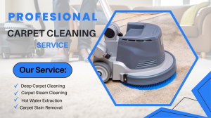 Looking for Expert Carpet Cleaning Services to Remove Stains and Odours?