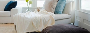 Wrap Yourself in Comfort – Shop Premium Throw Blankets from American Blanket Company Today!