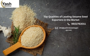 Top Qualities of Leading Sesame Seed Exporters in the Market