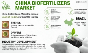 China Biofertilizers Market Size, Share, Competitive Outlook & Key Players, 2032