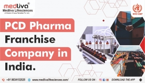 PCD Pharma Franchise Demystified: The Complete Business Blueprint