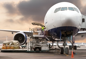 How to Choose the Right Export Company in Dubai for Your Business