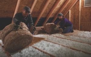 Do Older Homes Have Higher Termite Treatment Costs?