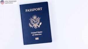 Replace Stolen Passport: Large Passport Book vs Standard, Which One to Choose?