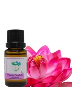 Experience the Magic of Lotus Pink Absolute Oil