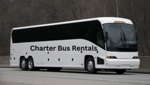 Reliable Charter Bus Rentals for Any Occasion: Explore Our Fleet