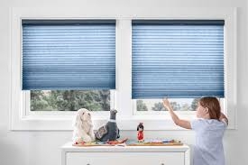 Blinds Closed: Creating Comfort, Privacy, and Style in Your Home