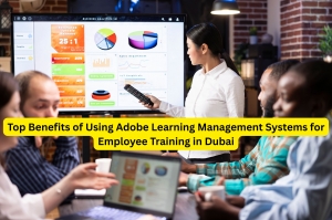 Top Benefits of Using Adobe Learning Management Systems for Employee Training in Dubai