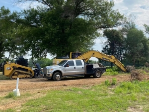 How Brush and Root Removal Services Protect Your Property’s Foundation
