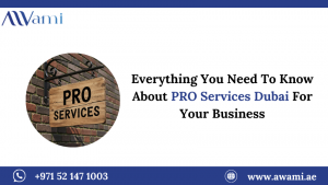 Everything You Need To Know About PRO Services Dubai For Your Business