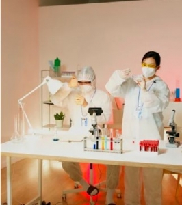 How Ingest Labs Optimizes Your Digital Marketing Data for Better Campaign Performance