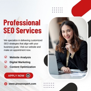 Maximizing Your Digital ROI: The Case for Professional SEO Services