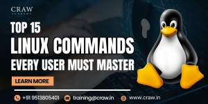 Top 15 Linux Commands Every User Must Master