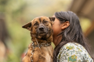 Why Singaporeans Are Choosing a Singapore Animal Communicator