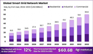 Global Smart Grid Network Market Analysis