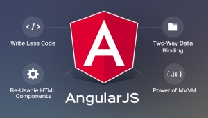 Angular JS Development Company