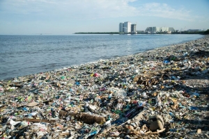 Plastic in the Ocean: Causes, Consequences, and Solutions You Should Know