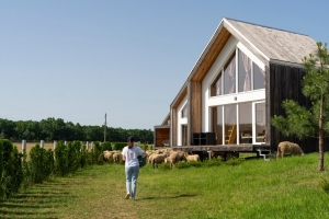 What Do Tiny House Builders Colorado Offer for Legal Tiny House Living?