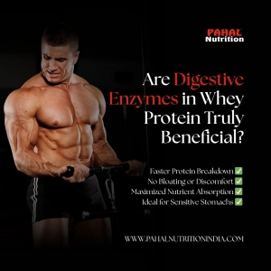 Digestive Enzymes in Whey Protein—Are They Really Worth It?