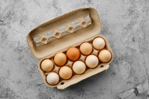 Detail Project Report: Setting up an Egg Tray Manufacturing Plant Report - Cost and Revenue