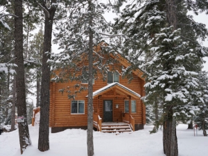 How to Choose the Right Cabins at Duck Creek Utah for Your Stay