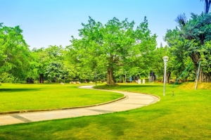 Unlocking Mental Health: Incorporating Green Spaces Into Life