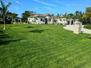 Why Homeowners Trust Epic Horizons Landscaping for Quality and Reliability?