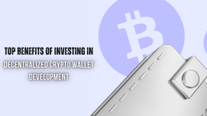 Top Benefits of Investing in Decentralized Crypto Wallet Development