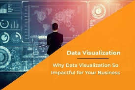 Why Data Visualization Consultants Are Key to Data-Driven Strategy