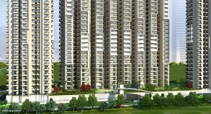 Gayatri Life: A Luxurious Residential Haven in Noida Extension (Greater Noida West)