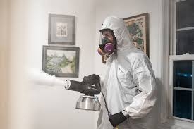 Professional Decomposition Odor Removal Services: Safe, Effective, and Permanent Solutions