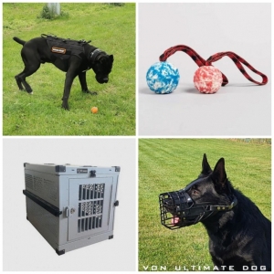 Top Pet Accessories Every Dog Owner Needs: From Playtime to Training