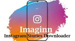 Everything You Should Need to Know About Imginn