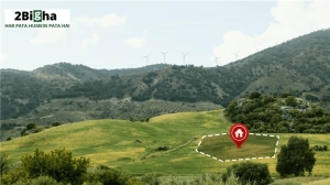 How Climate Change is Affecting Rural Land Value