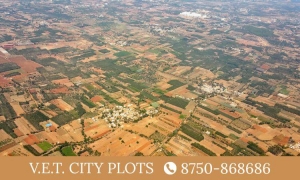 Vet city plots jhajjar 