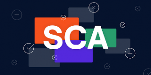 Software Composition Analysis (SCA) Services | Secure Open-Source Applications