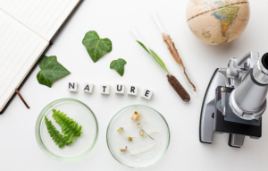 Effective SEO Services to Help Naturopaths Attract More Patients