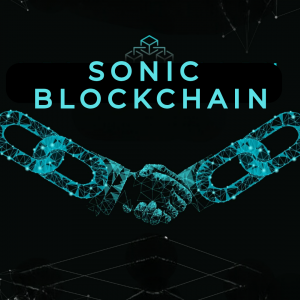 Sonic Blockchain Development – Powering the Next Wave of Decentralization