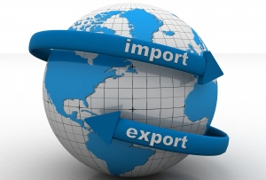 Why Taking an Import Export Course Is the Smartest Career Move Today