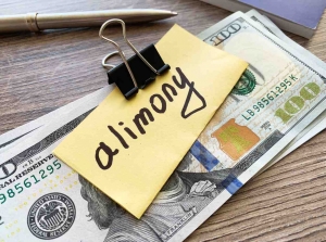Spousal Support Lawyer Irvine: Protecting Your Rights During Divorce