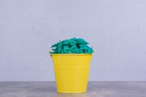 Green Cleaning: How Eco-Friendly Bin Washing Benefits Your Home