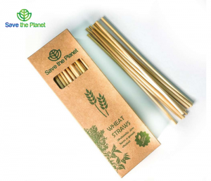 Eco Friendly Straws