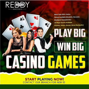 Discover How Reddy Anna is Setting New Standards in Online Cricket Platforms for Players Everywhere
